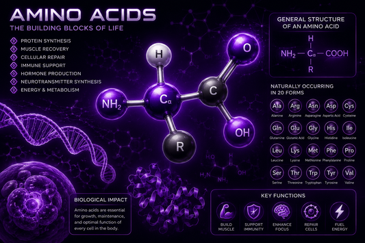 The Importance of Amino Acids: Building Blocks of Life and the Value of High-Purity Sourcing