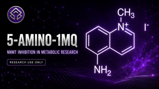 5-AMINO-1MQ Why NNMT Inhibition Is Gaining Attention in Metabolic Research